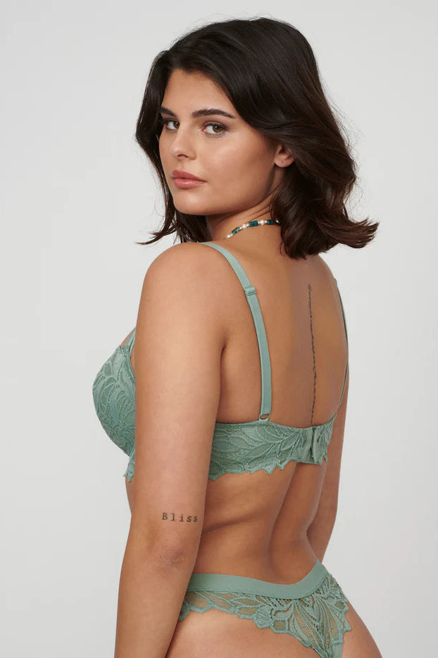 חזיית ריפוד קל תחרה EMILIA - Image 3