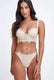 Mor push up zipper Bra חזיית מור פוש אפ - Image 3